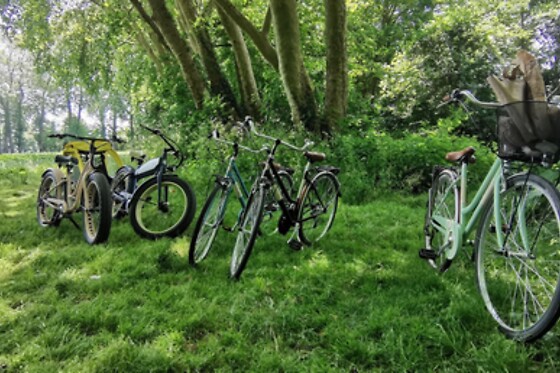 Jeu de piste en vélo électrique pour 3 - Papa Tango Vélo - Coulon (79)