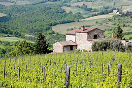 Agriturismo La Collina delle Streghe