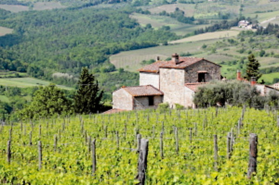 Agriturismo La Collina delle Streghe - photo 14