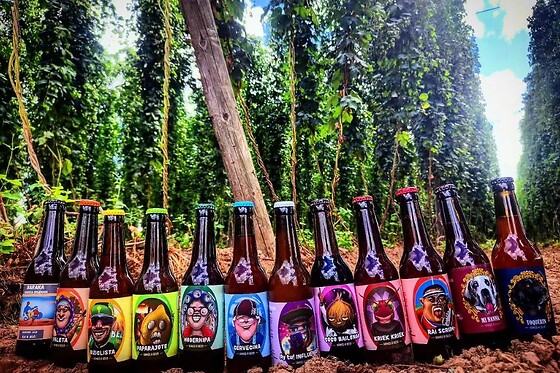 VINOS O BEER/ TAPROOM DE VAMOS A BEER/ QUE PASA MAJA! - photo 3
