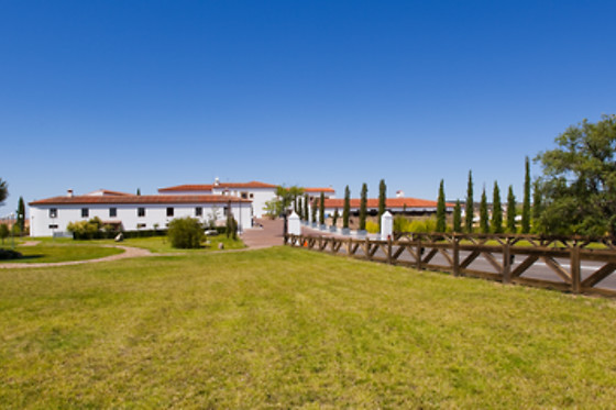 HOTEL PALACIO DE ARENALES & SPA - photo 27