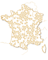INSOLITE – Moment Inoubliable