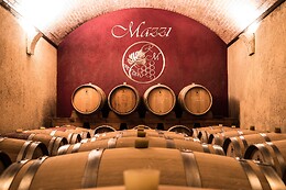 Azienda Agricola  Mazzi e Figli
