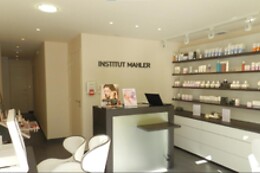 Institut Mahler Clermont Ferrand