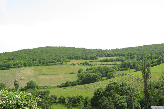 Le relais du colombier - photo 12
