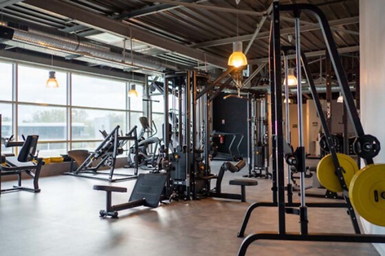 GymChaft - photo 8