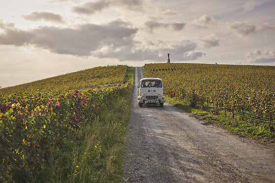 My Vintage Tour Company - photo 1