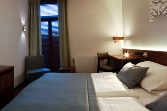 Hotel Carol - photo 10