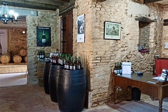 CENT PIQUES – BODEGAS VINADOS - photo 1