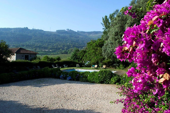 QUINTA DE SÃO VICENTE - photo 5