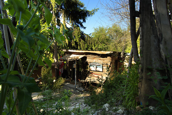 La cabane aux loups - photo 3