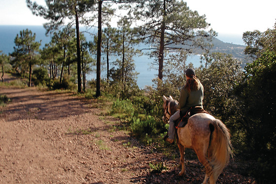 AVENTURA CABAÑEROS - photo 9