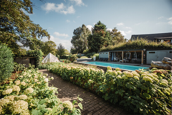 De Witte Merel & Hotel at home - photo 5
