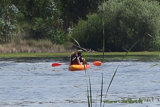 Nautispot - photo 4