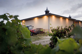 Atelier vigneron interactif pour 2 chez Œnanim à Saint-Emilion (33)