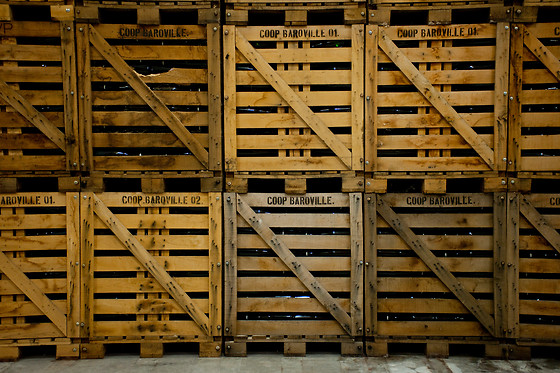 Dégustation pour 2 au Champagne de Barfontarc à Baroville (10)