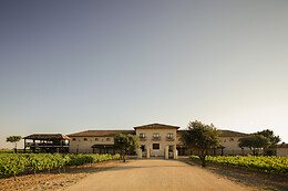 BODEGA SIERRA NORTE