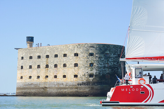 Balade en catamaran en duo - Inter Iles Catamarans - La Rochelle (17)