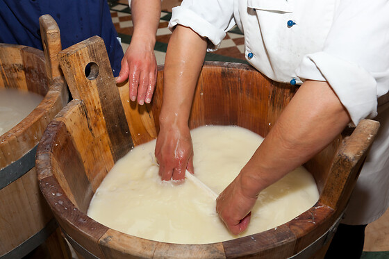 Ferme Le Bochet - photo 10