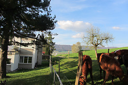 Chez Chantal