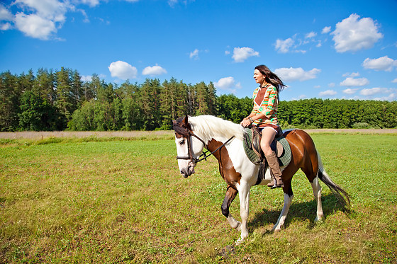 Un Poney, une histoire - photo 0