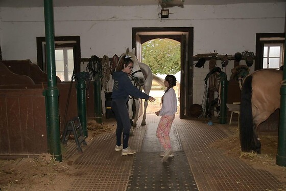 Coudelaria Rita Cotrim - photo 9