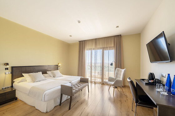 HOTEL SPA VILLA NAZULES - photo 17