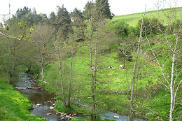 Les Roulottes de la Ferme des Chanaux