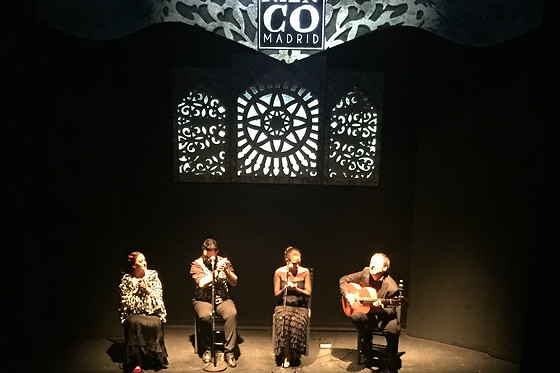 TEATRO FLAMENCO MADRID - photo 2