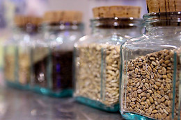 Brasserie Monalixa