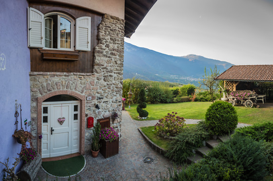 Albergo Alt Spaur - photo 5