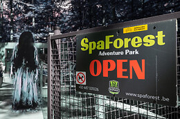 Spa Forest