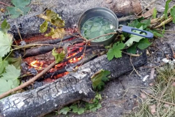 Pro survivaliste - photo 9