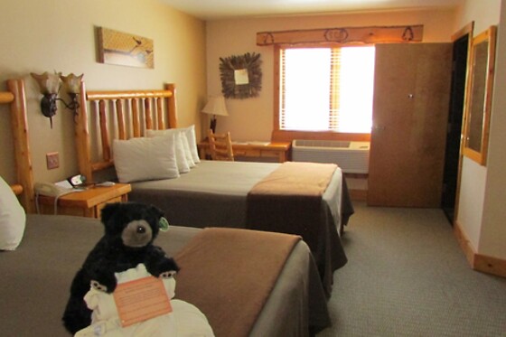 Online Booking EPS - photo 2