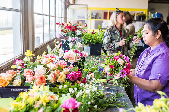 Visite à la ferme & atelier floral  à Avrainville (91)