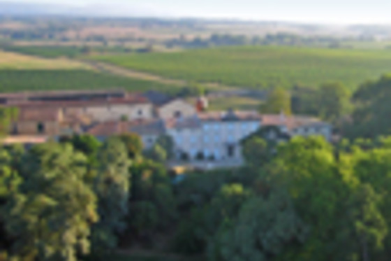 Château Auzias - photo 22
