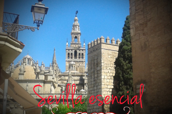 SEVILLA 365 - photo 4