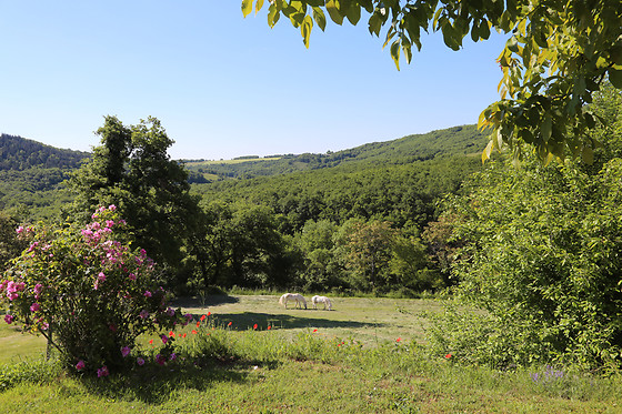 Serène - photo 5