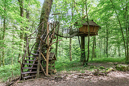 L'Arbre à Cabane