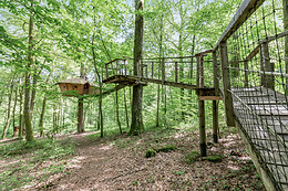 L'Arbre à Cabane
