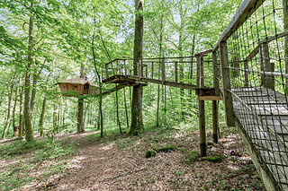 Un séjour à 2 à L'Arbre à Cabane à Guyonvelle (52)