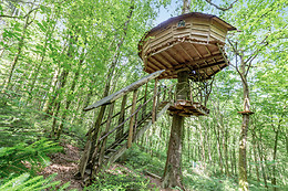 L'Arbre à Cabane