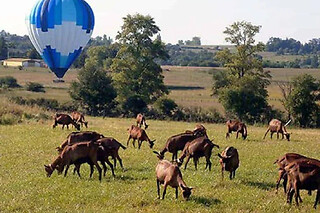 Vol en Montgolfière à Annonay (07)