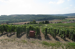 Champagne Pierre Laurent