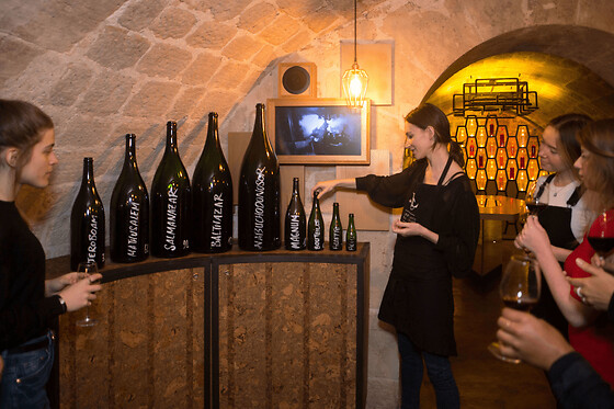 Visite & dégustation de vins Premium aux Caves du Louvre, Paris