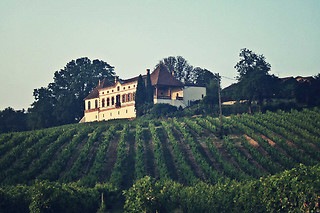 Dégustation en duo au Château Labastidié à Florentin (81)