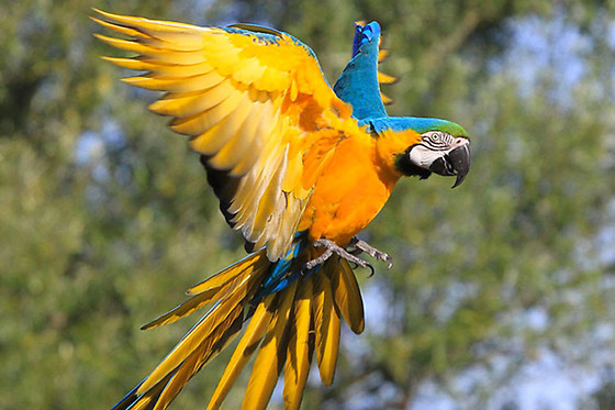 Séjour loisirs parc d'attractions en famille