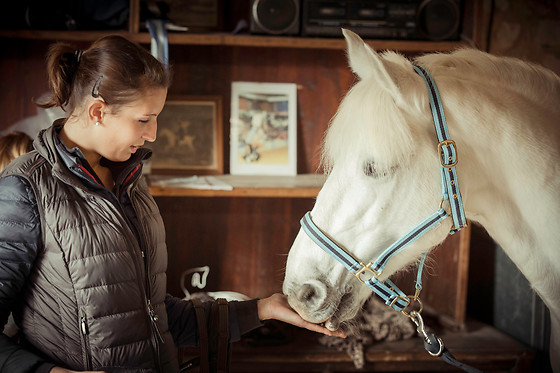 Haras du Loup - photo 7