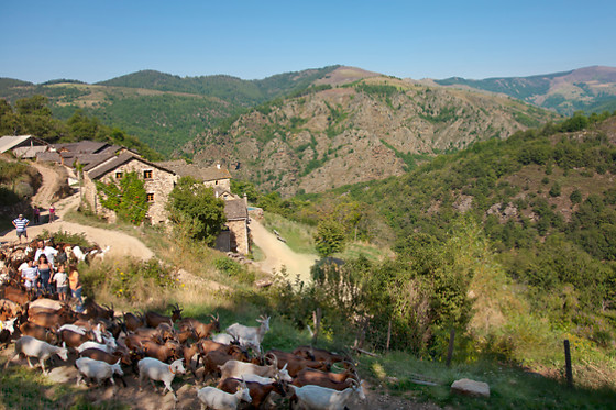 La ferme des Cevennes - photo 2