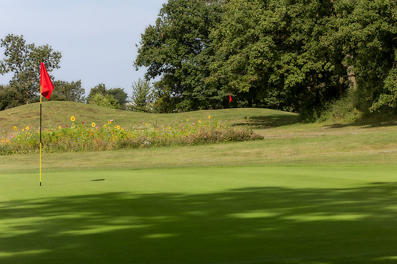 Cours de golf - Ugolf - Metz (57)